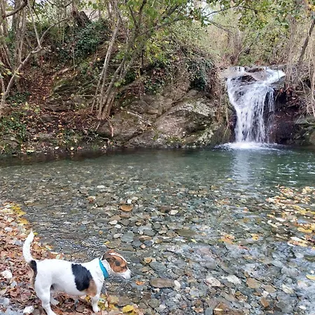 Insolite - Nuit A La Belle Etoile Dans Gazebo Thai Pres De La Riviere *